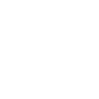 SubParmeson's emblem