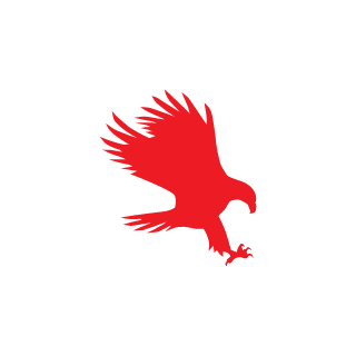 KIRK91's emblem