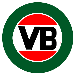 vb TINNIE375's emblem
