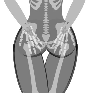 rchapter's emblem
