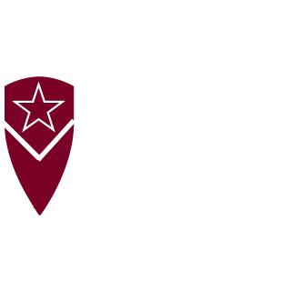 TD-BopoH's emblem