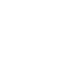 13Mr_Bro13's emblem