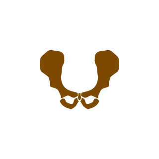 AntivirusUA's emblem