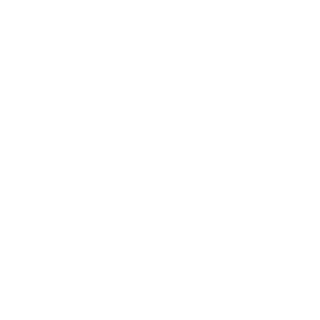 drizzo007's emblem