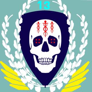 Misfitmikey0013's emblem