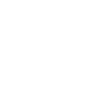 mishylka666's emblem