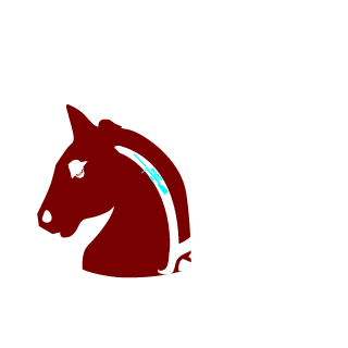 -ProZadeSkull-'s emblem