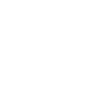N3-SHERIFF's emblem