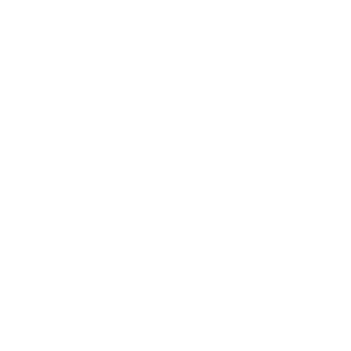 598663's emblem