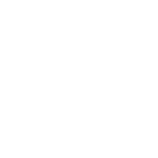 WebTakerRU's emblem