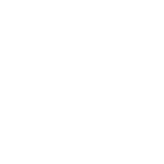 zikzak323's emblem