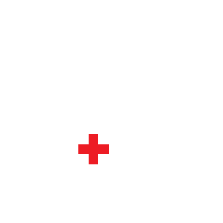 FLn033's emblem