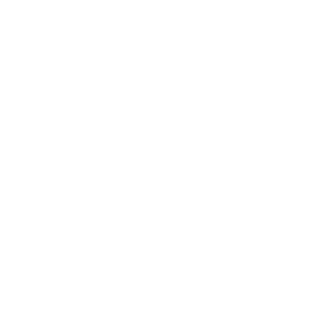 MagmaCarrier's emblem