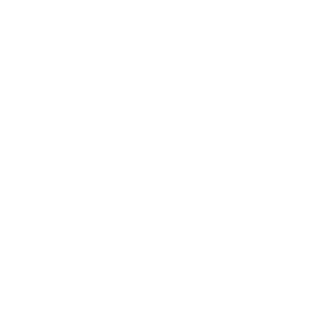 Z6-Panzer's emblem