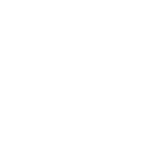 ZerstorungTiger's emblem