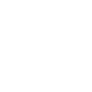 10FINN's emblem