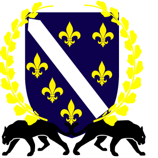Hari71_BiH's emblem