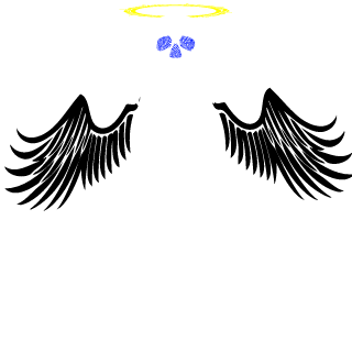 xXResolverXx's emblem