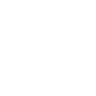 roadrunner_Nero's emblem