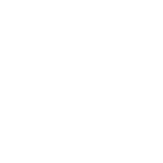 TwinBladeGamer's emblem