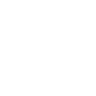 PsiSigma's emblem
