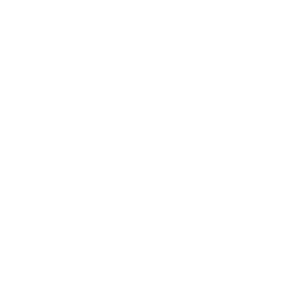 HASAGI228's emblem