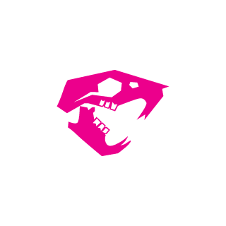dnuhsinsa's emblem