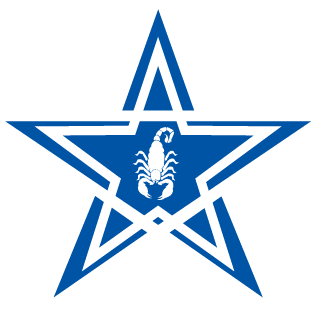 STASHQUE's emblem