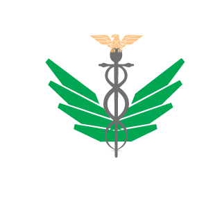 Valhalla's emblem
