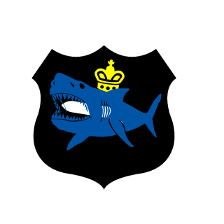 117_CAI's emblem