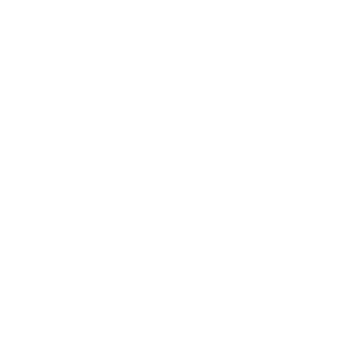 80be5c0fc901781b's emblem