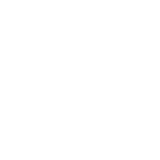 sSIRIUSs009's emblem