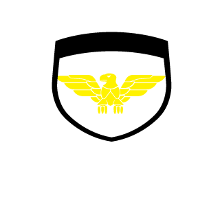 1454233923's emblem