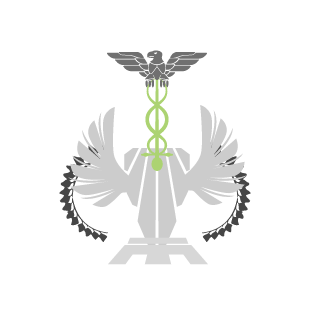 effektz's emblem