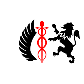 viniciusrCMD's emblem