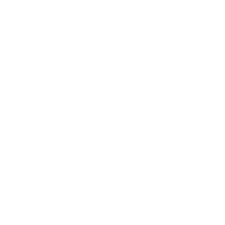 number-wasmes_MF's emblem