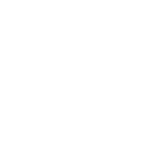 Lovis95's emblem