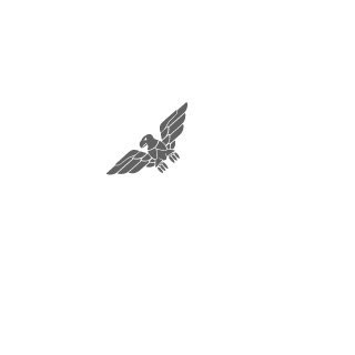 colonel_Ivy's emblem