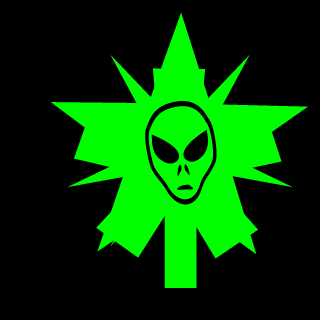 havik_killer0_0's emblem