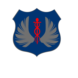 98f1d9f483fd30c5's emblem