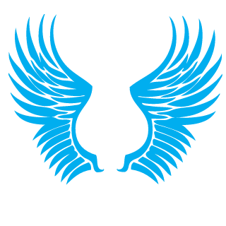 Enemy Airwaves's emblem
