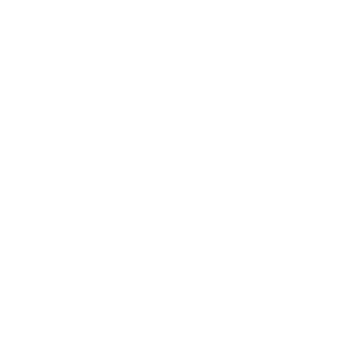 PedroElBurro95's emblem