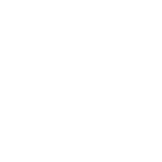 Blackwolf117's emblem