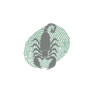 UrdeZikina's emblem