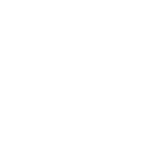 DaviMendesECV's emblem