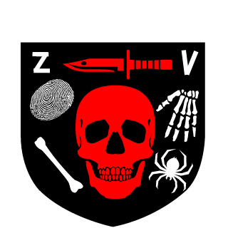 sleepmode247's emblem