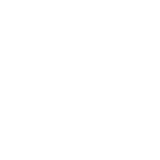 HgHCastle's emblem