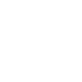 ilgar98h's emblem
