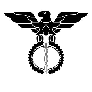 Amin0saeure_'s emblem