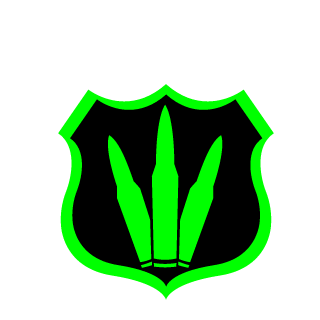 351_F3n1X's emblem